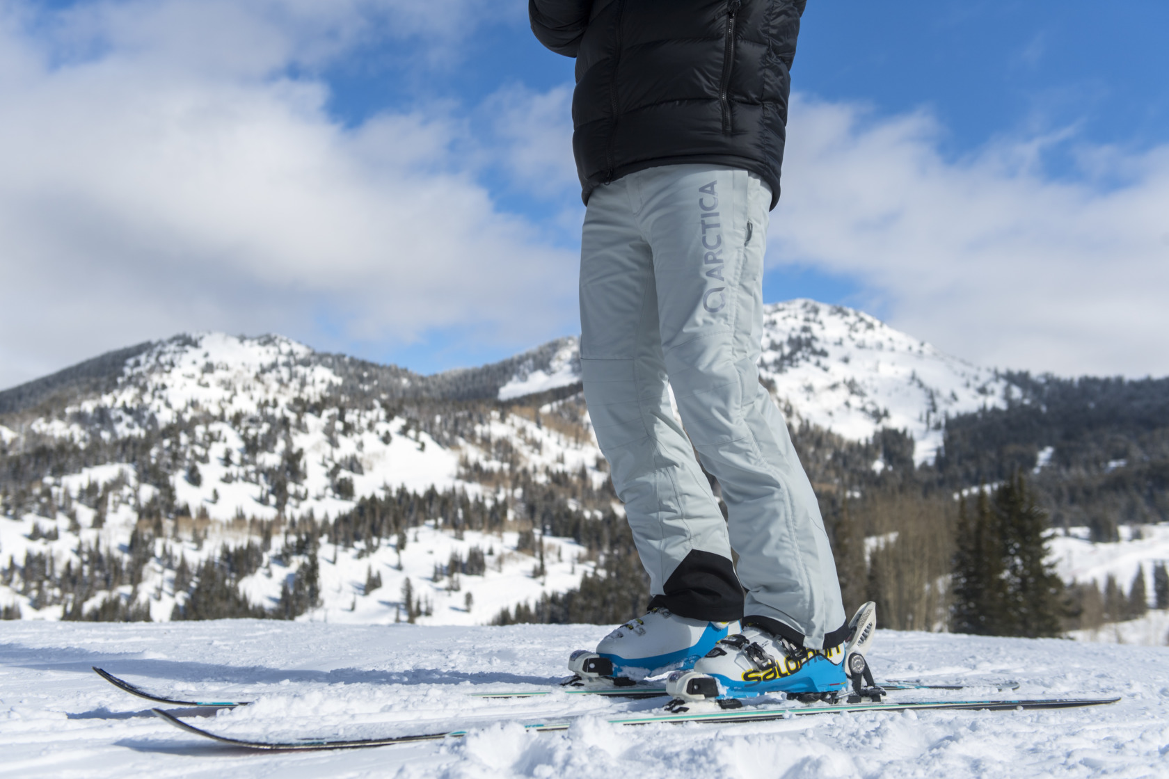 Men's Speedster Side Zip Ski Pant Arctica